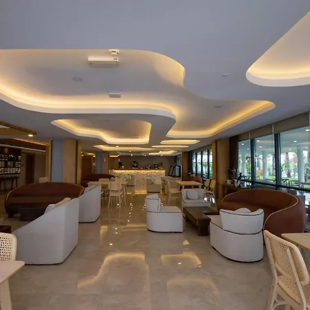 Hane Sun Elite 5* シダ