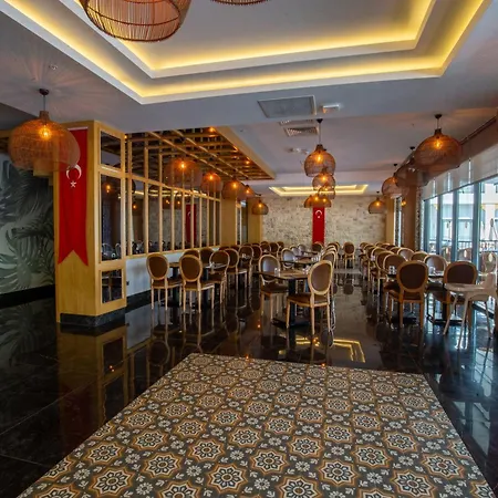 Hane Sun Elite 5* シダ